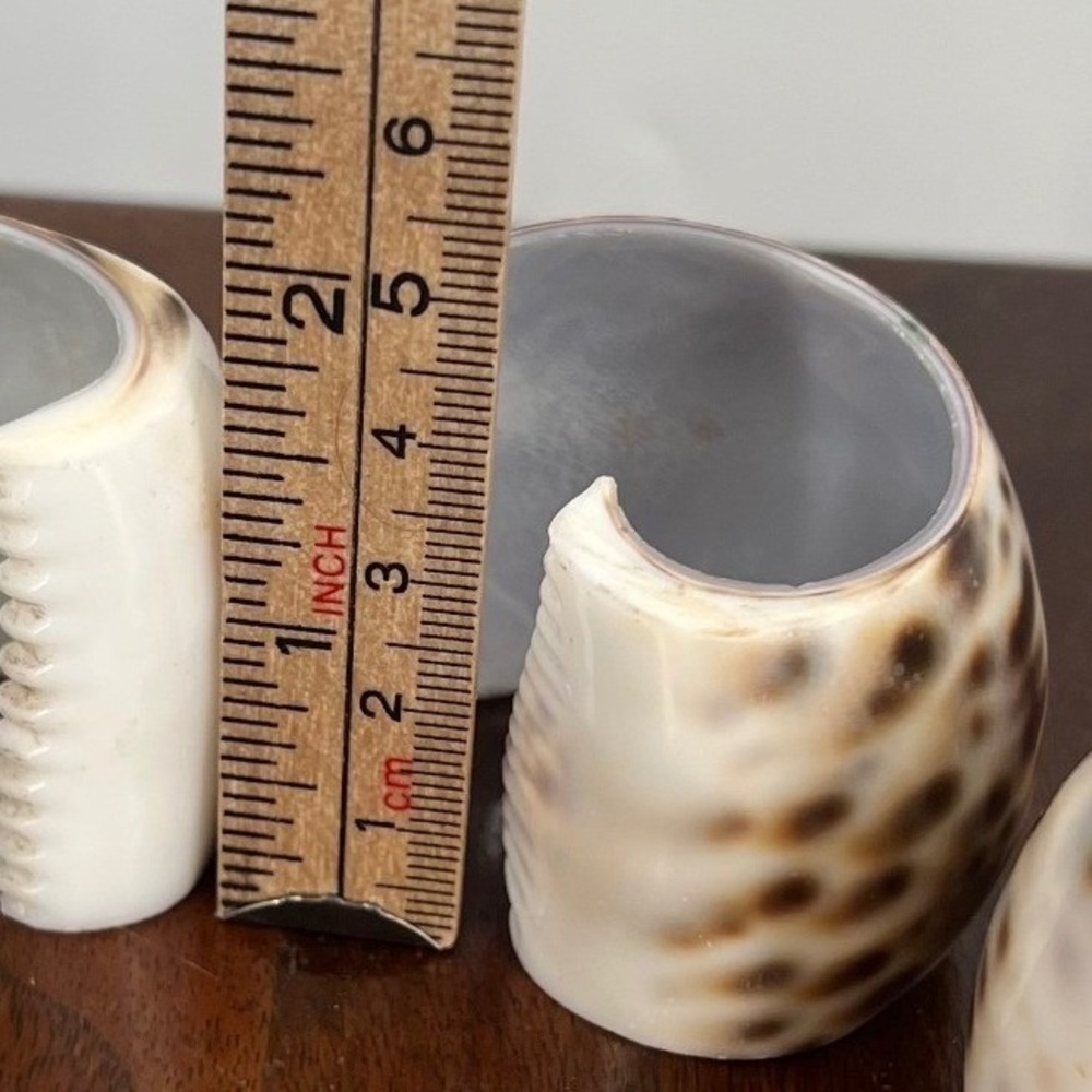 Tiger Cowrie Shell Napkin Rings Natural Coastal Table Decor Brown Cream Set of 4 - Picture 5 of 6